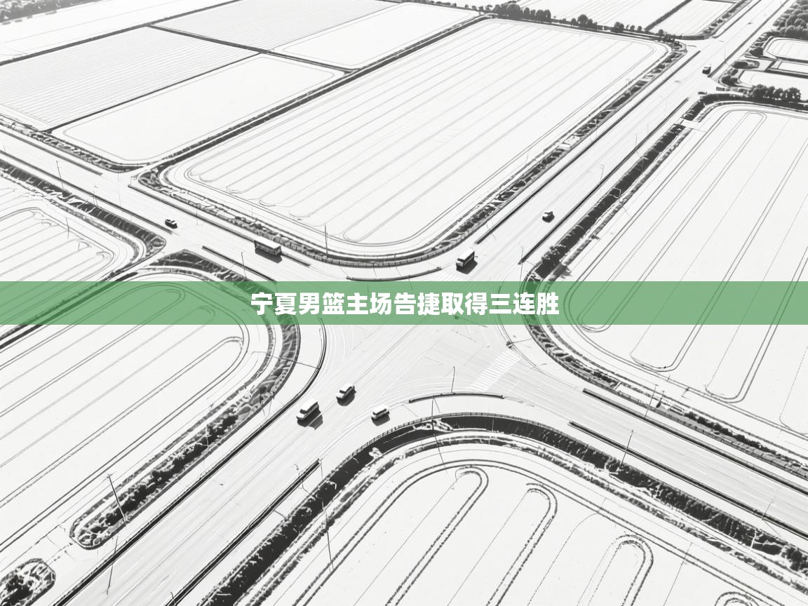 宁夏男篮主场告捷取得三连胜 第2张