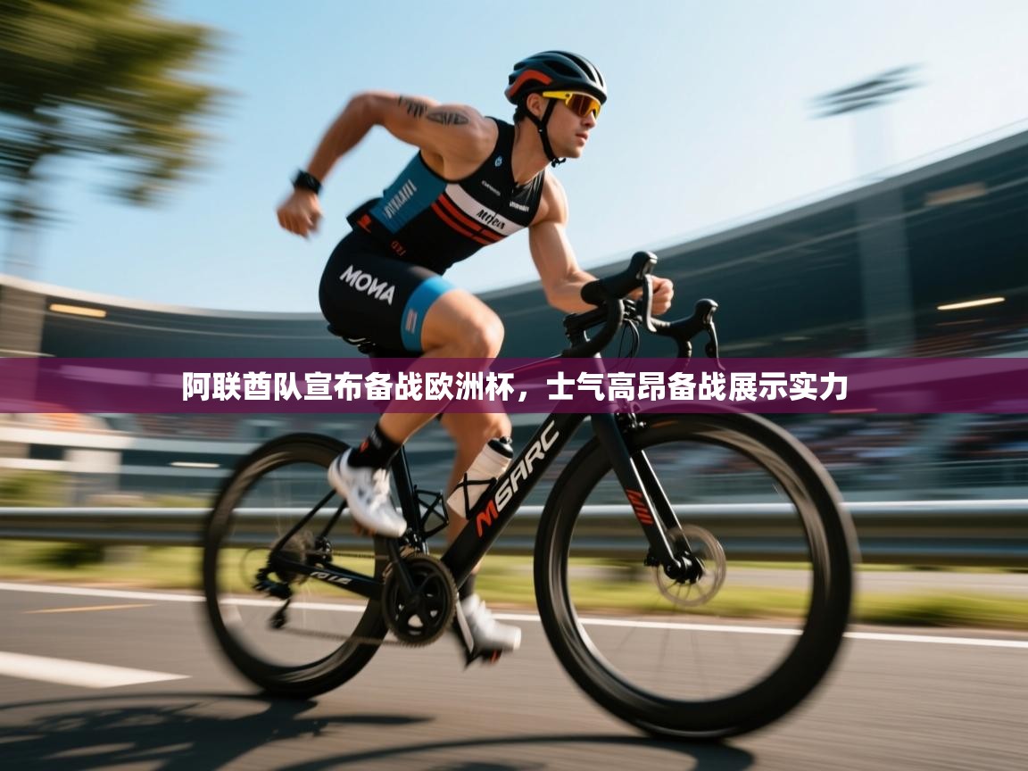 阿联酋队宣布备战欧洲杯,士气高昂备战展示实力 第1张