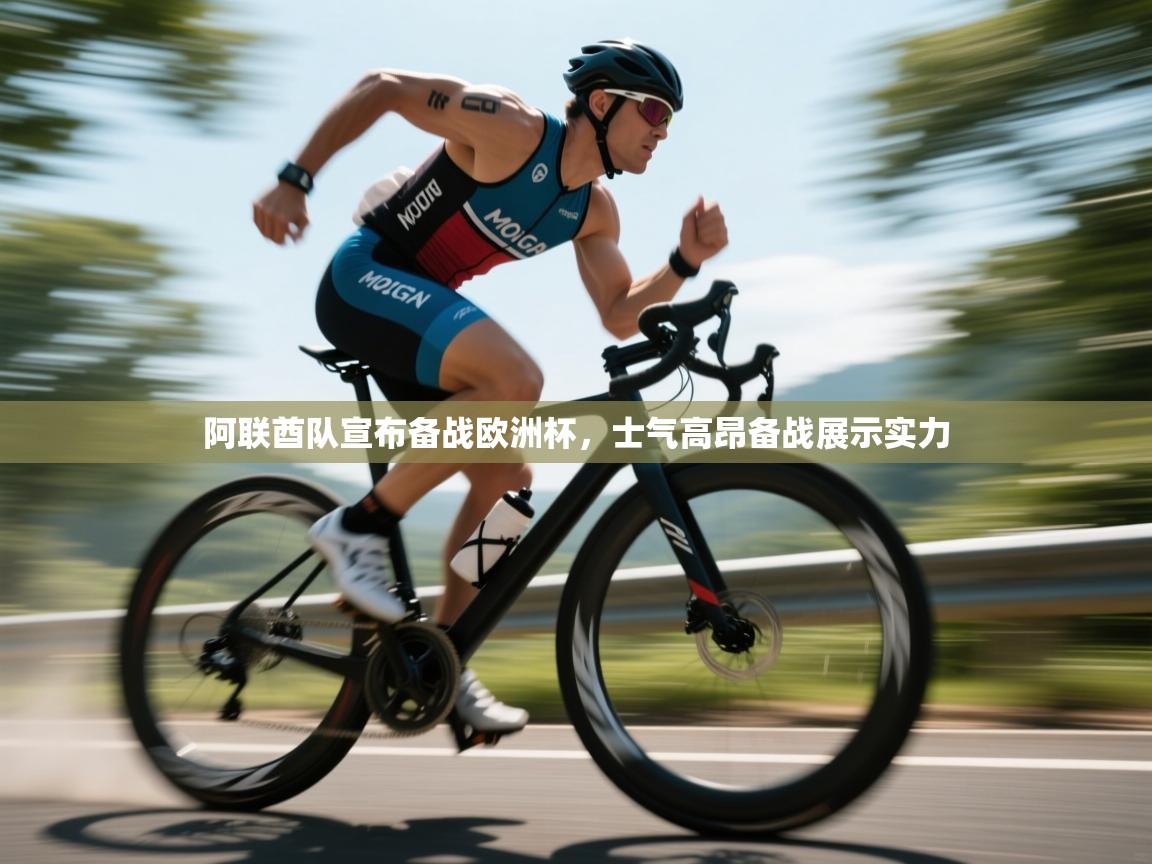 阿联酋队宣布备战欧洲杯,士气高昂备战展示实力 第2张